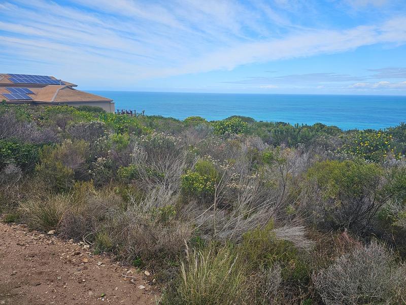0 Bedroom Property for Sale in Village On Sea Western Cape